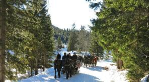 Authentic European Christmas Experiences Our festive Christmas tours are not summer tours run over winter.