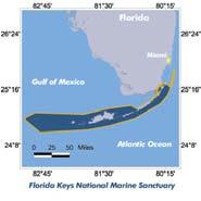 Florida Keys NMS Sanctuary Advisory Council Zones to satisfy every user group while protecting resource Wildlife management areas, sanctuary preservation areas, and special use areas 24 fully