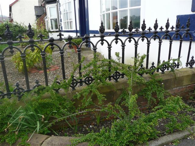 This is all that remains of the railings which went across the front of both properties and were