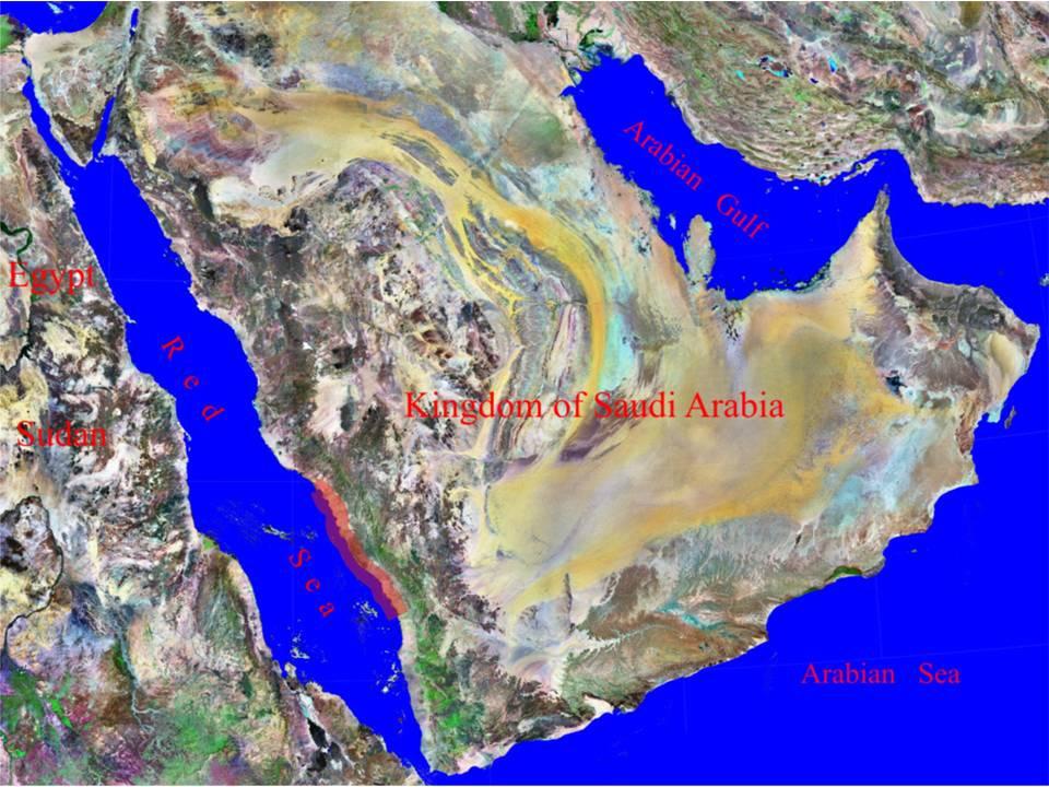 Distribution of Mangroves along the Red Sea Coast of the Arabian Peninsula: Part 2: Asif Khan et al. Fig.