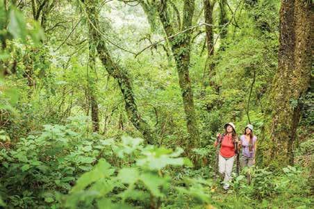 It is in San Lorenzo with an area of 10,500 hectares and was created to conserve the yungas forests and the drinking water source of the city of Salta and San Lorenzo.
