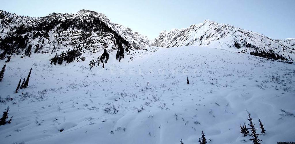 ENVIRONMENTAL HAZARDS OF AVALANCHES: PRELIMINARY RESEARCH IN GLACIER NATIONAL PARK Site Focus: Balu Pass,