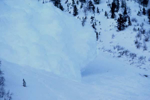 Avalanches in the Selkirk Mountains 1987 1988 Avalanche near Roger's Pass.