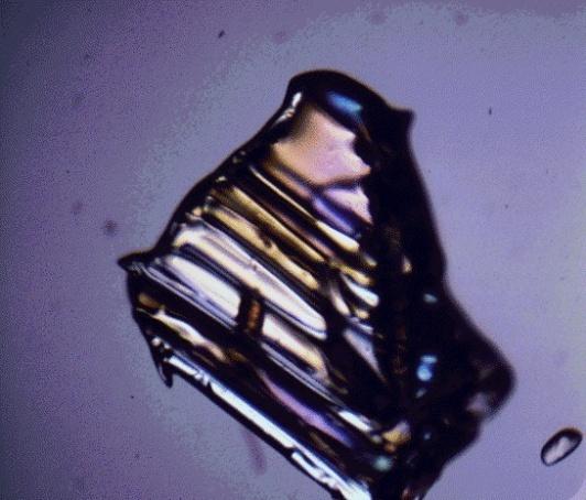 org Faceted Snow Crystal photographed with polarized light (Photo Courtesy of: http://snobear.colorado.
