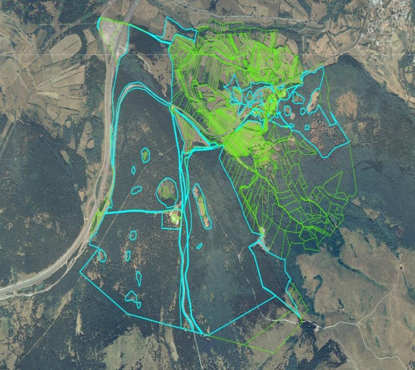 Poudarjena svetlo zelena barva prikazuje parcele, ki sodijo pod upravljanje agrarne skupnosti. Od ostalih parcel v k.o. se ločijo po velikosti in rabi, kar je razvidno iz digitalnih ortofoto posnetkov.