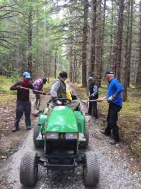 Finding, cutting, hauling and placing moss or other vegetation on all disturbed areas adjacent to the trail, cutting and filling slopes and the staging areas, and planting plants and