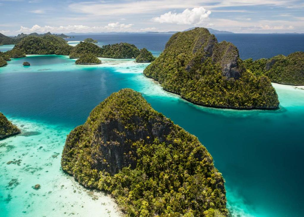 RAJA AMPAT Imagine a place where nature is at its most vivid; turquoise and cobalt blue waters