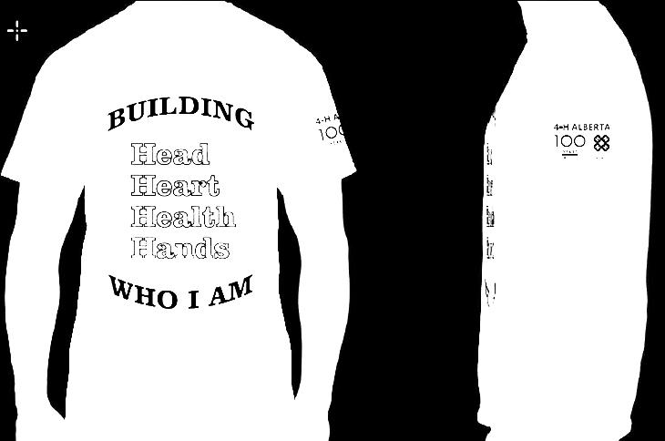 Building Who I Am T-Shirt each or 12 for