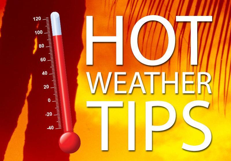 Alert workers to the heat index anticipated for the day and identify each precaution in place at the work site to reduce the risk of heat-related illness Provide plenty of cool drinking water and