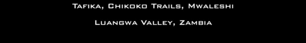 Chikoko Trails,