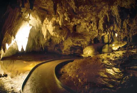 of tiny luminescent glow worms radiate. A local expert will also provide an insight into the historical and geological significance of the caves.