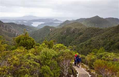 Travel over streams that show off a constant spectacle of beautiful native bush; tranquil wetlands; and the surviving forests of kauri, rimu and kahikatea