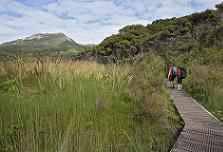 The summit track is an easy tramping track with many stairs going downhill and the rest of the Kaiaraara track is of day visitor standard Several kauri dams were built in this area in the 1920s to