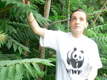 INTRODUCING THE WWF CAUCASUS PROGRAMME OFFICE STAFF MAKA BITSADZE - CEPF/WWF Program Country Coordinator Maka graduated in 1997 from Tbilisi State University, Faculty of Biology and Medicine, where