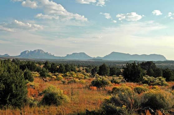 HUNTING/CATTLE RANCH 6,400 DEEDED ACRES IN CATRON COUNTY, NEW MEXICO OFFERED EXCLUSIVELY BY HITCHING POST LAND CO.