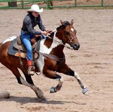 races and similar events Spectator events include rodeos, martial