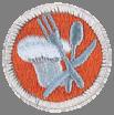 #8 - Plan a troop or crew court of honor, campfire program, or an interfaith