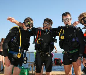 Optional Activities Diving Diving is very popular in Malta. IELS offers beginners to advanced courses. Ask for information at the Leisure Desk.