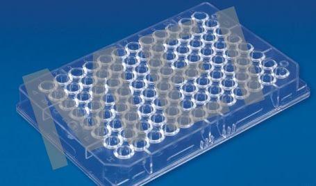 MEI Cryo Box (PP) (MEP - 58) MEI Lab ELISA/ASSAY plates are made of optically clear, non-toxic Polystyrene. These plates with 96 U Bottom wells bear alphanumeric index.