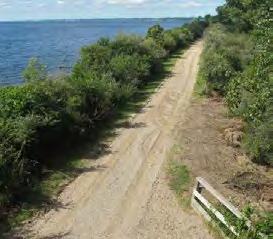 soon be opened along the shores of Lake St. Clair at the end of 10 restored public road allowances in Lakeshore (Essex County).