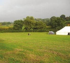 If you have any specific requirements, such We have been as being close to the showers, then our providing camping at Customer Service Team will gladly Blackwell Adventure for over