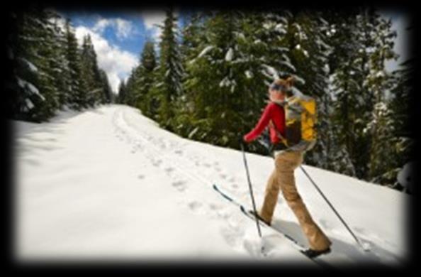 Cross Country Skiing Tahoe City TRAIL PASSES All Day After 12:30pm Twilight