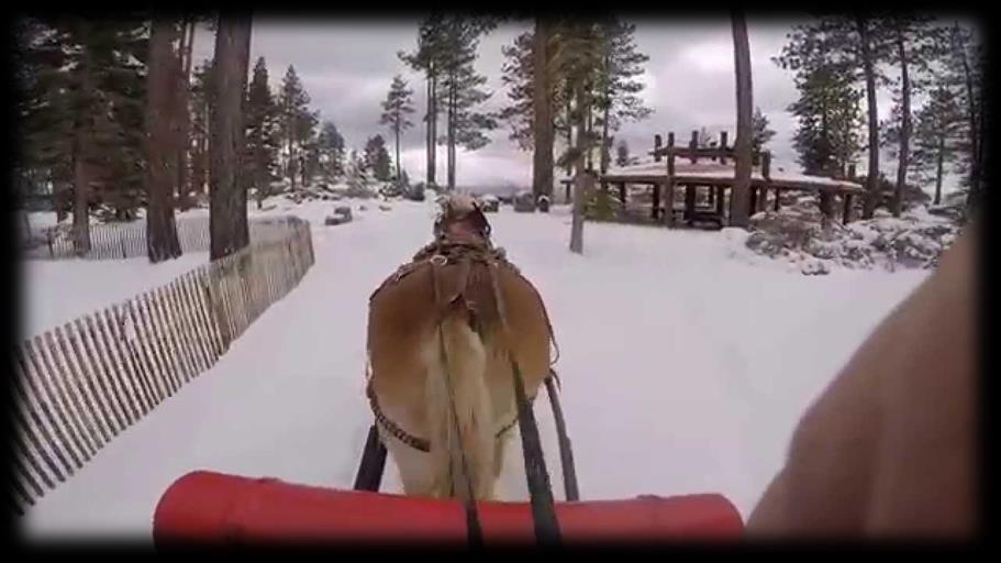 Winter Sleigh Rides A fun and unique way to tour the famous Sand Harbor in the winter is by sleigh ride!