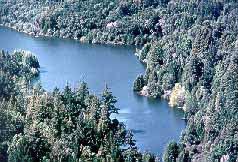 Loch Lomond is where Santa Cruz stores its drinking water supply (about 3 billion gallons worth)! Loch Lomond is only one of the many places where Santa Cruz gets its drinking water.