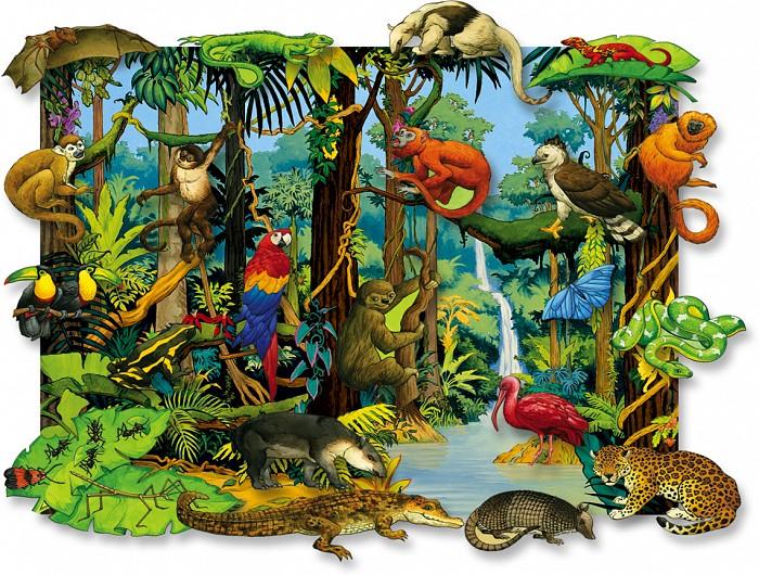 Up A Rainforest Tree By: Carole Telford and Rod Theodorou Team Reading Goal: I can identify
