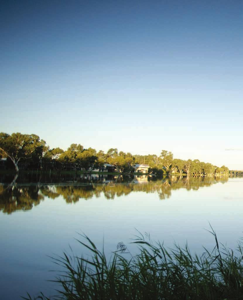 7 Night Murraylands and Wildlife Cruise Discover the dramatic South Australian outback on a cruise along Australia s great inland highway.