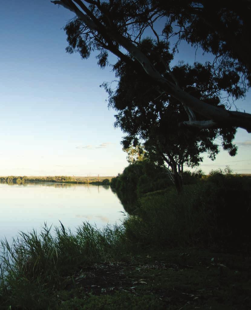 7 Night Upper Murraylands Cruise Explore the breathtaking Murraylands whilst cruising through ancient gorges and red gum forests, past towering sandstone cliffs and historic ports, local vineyards