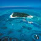 Or join a boat snorkel trip and snorkel some beautiful sites just a few minutes offshore. 2.