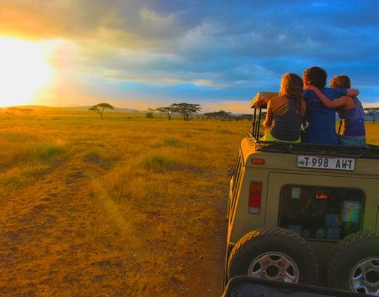 giraffe, lion, rhino and wildebeest. This is a safari mecca, and professional guides will take you to see the majestic creatures of Tanzania in their natural wild habitat.