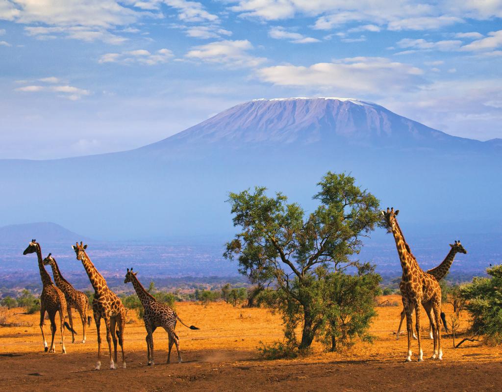 Exclusive UW departure February 6-22, 2019 Classic Safari: Kenya & Tanzania 17 days for $8,696 total price from Seattle ($7,995 air, land & safari inclusive plus $701 airline taxes and fees) O n