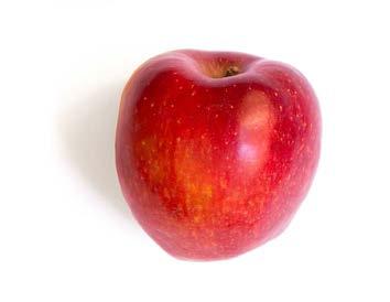 Beside our own apples, we operate with additional 50 ha of apple production from our associates.