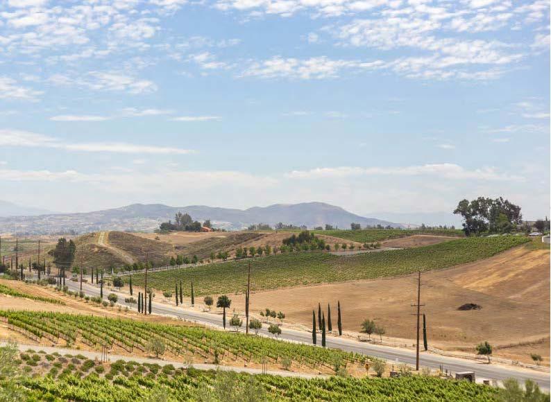 TEMECULA Temecula is a place of rolling vineyard, historic traditions and modern conveniences combined to offer entertainment for people of all ages.