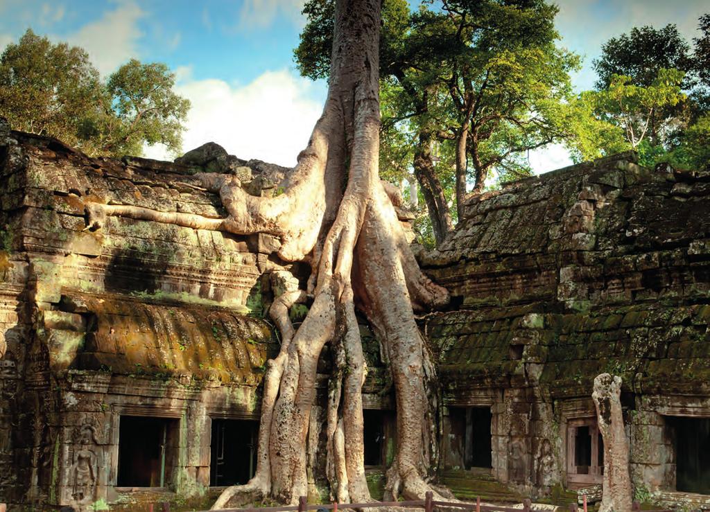 13-Day Majestic Mekong River Cruise 13-Day Majestic Mekong River Cruise Your journey begins in Siem Reap, where early mornings and ancient architecture promise to be the perfect combination.