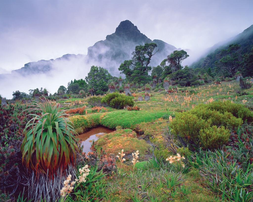 Our trek covers varying alpine terrain and is, like most Tasmanian alpine walks, at the whim of the changeable weather.