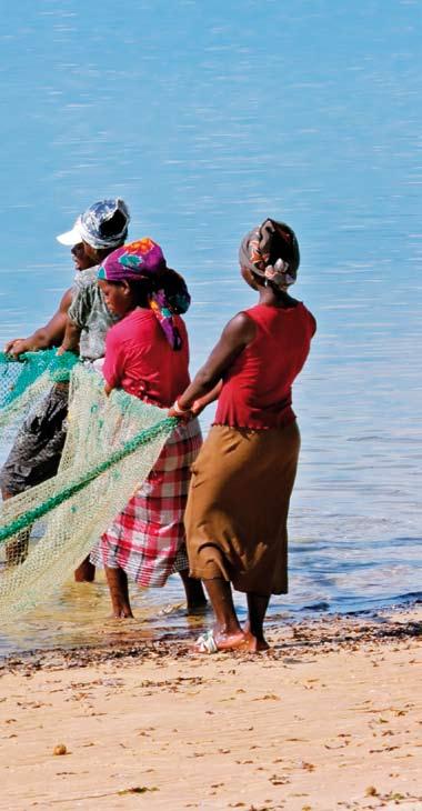 Women s participation in alcoholic drink brewing in Mapai- Ngale and fisheries-related work in Magondzwene has increased in the last two years.