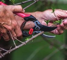 .specially coated non-stick blades provide smooth cutting performance DualLINK pruners boost cutting power and reduce effort with a dual compound lever design that appeals