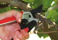 Stem, Branch & Limb Pruning BP 4250 MAXFORGED BYPASS PRUNER ALUMINUM CUTS UP TO More affordable, heavier version of BP 6250 Separate steel hook instead of one-piece