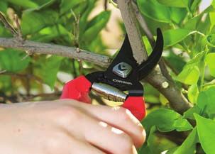 HAND PRUNERS ComfortGEL Hand Pruners Maximize comfort and control with soft, ergonomically shaped grips Specially coated non-stick blades provide smooth cutting performance Reduce hand fatigue with