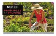SALES SUPPORT MERCHANDISING Merchandising Corona not only produces classically designed tools that deliver