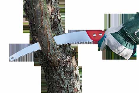 SAWS - PRUNING TOOLS Kenyon pruning saws are professional-grade tools that are designed to cut more easily. Choose folding models for small to medium branches and convenient in-field portability.