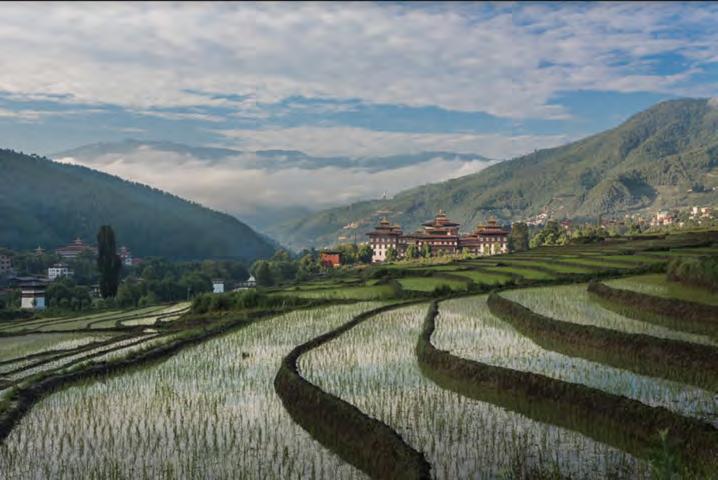 Bhutan s dzongs are hundreds of years old and have been converted into administrative buildings shared equally between government and religious offices, and Punakha Dzong is where Bhutan s grandest