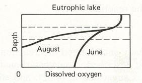globina 56 Sestavine hidrosfere in njihova kakovost v Sloveniji Pri preveliki evtrofikaciji se poraba raztopljenega kisika se poveča.