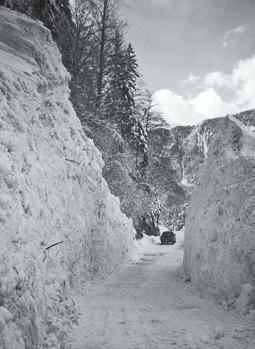 ( 19 ) plazovi. Dolgo je bila zaprta za bovške občane zelo uporabna regionalna cesta Predel Bovec, in sicer zaradi snežnih plazov na italijanski strani. Med Logom pod Mangartom in Predelom se je 5.