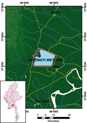 MOYINGYI WETLAND Site ID 27 Locality Bago Region, Bago and Waw Townships Coordinates N 17 32, E 96 36 Size (km²) 104 Altitude (m.
