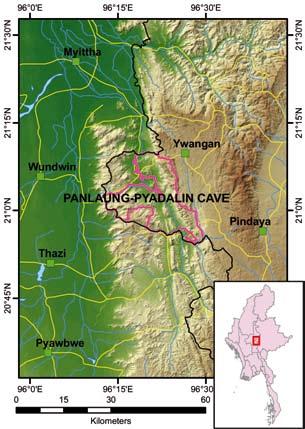 PANLAUNG-PYADALIN CAVE Site ID 30 Locality Shan State, Ywa Ngan Township Coordinates N 21 01, E 96 21 Size (km²) 334 Altitude (m.