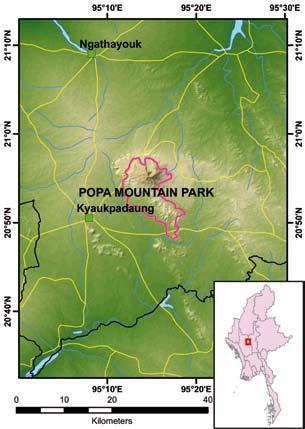 POPA Site ID 33 Locality Mandalay Region, Kyaukpadaung Township Coordinates N 20 53, E 95 14 Size (km²) 129 Altitude (m.